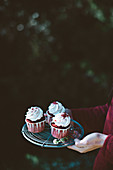 Hände tragen Rote-Bete-Cupcakes auf Abkühlgitter