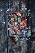 Edible pine cones made from cake dough and almonds
