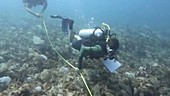 Surveying hurricane coral reef damage in the Caribbean