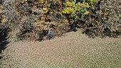 Mountain biker aerial