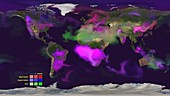 Global aerosol dispersion, FIM-Chem data