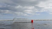 Plastic bottle floating on the sea