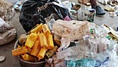 Sorted marine plastic waste