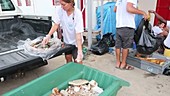 Researcher sorting marine plastic waste