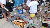 Researcher sorting marine plastic waste