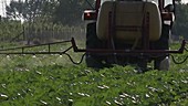 Tractor spraying pesticides on a field