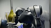 Fruit quality control robot