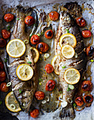 Trout baked with cherry tomatoes and lemon, spring onion