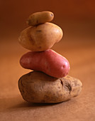 A stack of various potatoes