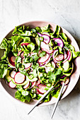 Radish and avocado salad