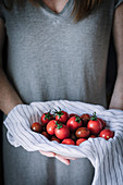 Fresh ripe tomatoes being held in a cloth by a woman in a grey dress