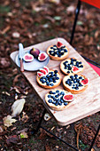 Blueberry and fig tartlets with vanilla pudding on a wooden board in an autumnal garden