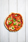 Eine Pizza mit Mozzarella und Basilikum (Aufsicht)