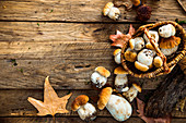 Frische Steinpilze im Korb auf Holzuntergrund mit herbstlichen Blättern
