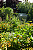 Naturgarten mit Gewächshaus und Gartenhaus