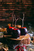 Halloween caramel apples with sticks on dark background