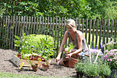 Frau bepflanzt Beet mit Gemüse und Sommerblumen