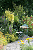 Candelabra mullein, lady's mantle, verbena and red currant