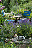 Sitzgruppe im Garten zwischen Lavendel und Rosen