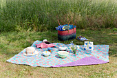 Bowls with lids, cake in bag and lunch bag on oilcloth picnic blanket