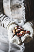 Whole chestnuts being held in hands wearing ivory woolen mittens