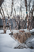 A gingerbread bundt cake with vanilla white glaze on a white rustic table outdoors in the snow