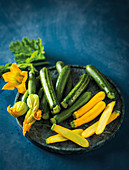 Marrow blossoms, green and yellow zucchini
