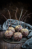 Apples covered in dark choclate and hazelnuts on a stick