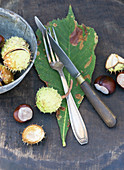 Vintage cutlery on horse chestnut leaf scattered with horse chestnuts