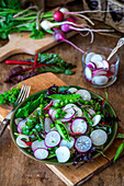 Salat mit Mangold, Radieschen und und grünen Erbsen