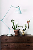 Articulated lamp, cactus and bird figure on a chest of drawers