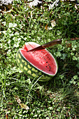 Angeschnittene Wassermelone im Gras