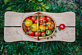 Tomatoes in a basket