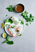 Vietnamese summer rolls with shrimps, vegetables and herbs