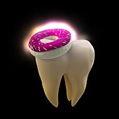 Tooth and doughnut, conceptual image