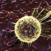 Nanoparticle cancer treatment, illustration