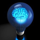 Brain power and light bulb, conceptual image