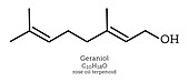 Molecular structure of geraniol terpenoid