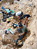 Neanderthal excavation, Pinilla del Valle