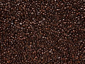 Coffee beans