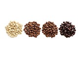 Raw, light, medium and dark roast coffee beans