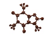 Molecular model made from coffee beans