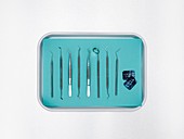 Dental equipment in a tray