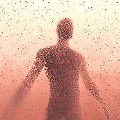Person made from molecules, illustration