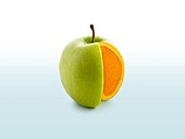 Segment cut from apple showing orange inside
