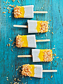 Coconut and Mango Popsicles