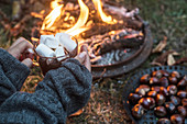Marshmallows and roasted chestnuts at an autumnal camp fire
