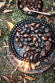 Roasted chestnuts in a pan over a camp fire