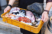 A person holding a crate of freshly caught fish and seafood