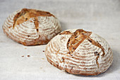 Zwei Laibe Artisan-Brot